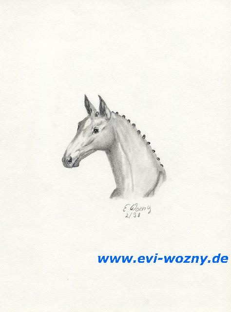 Zeichnung Pferdkopf 1999