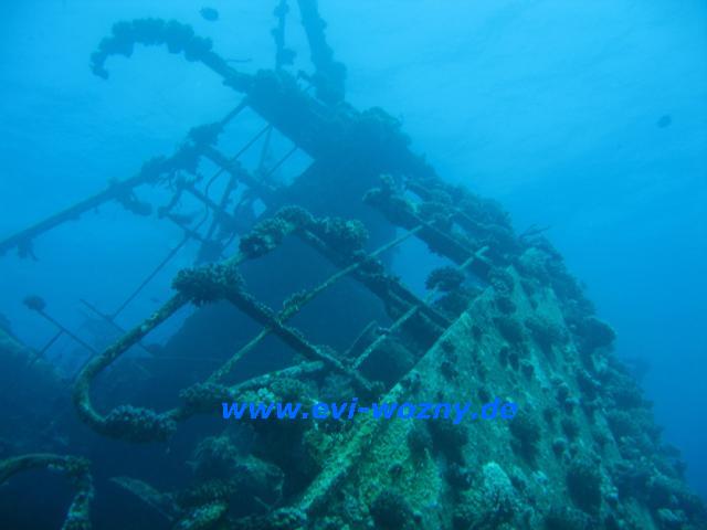 Wrack 4.JPG
