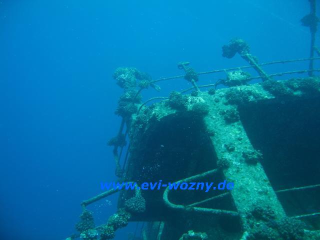 Wrack 5.JPG