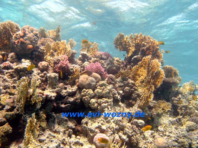 IMG_4887.JPG