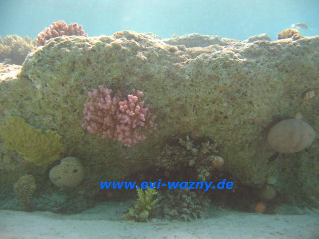 IMG_4922.JPG