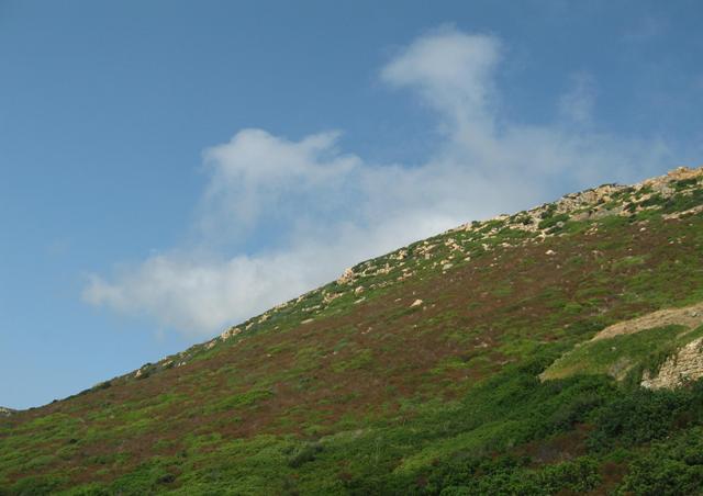 Land